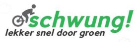 Logo_Schwung